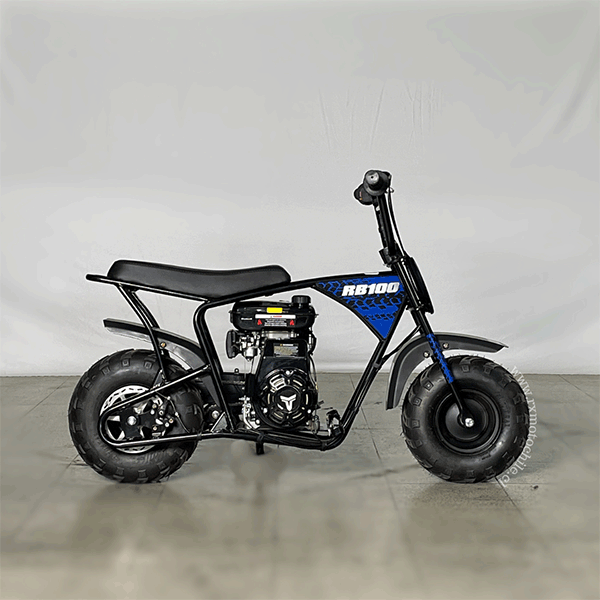 minibike-100-12