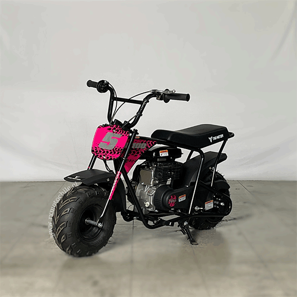 minibike-100-14