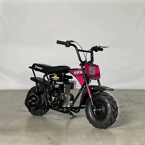 Motocicleta minibike 105 tao motor