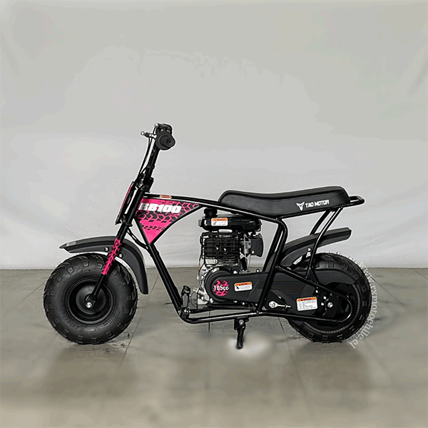 minibike-100-17