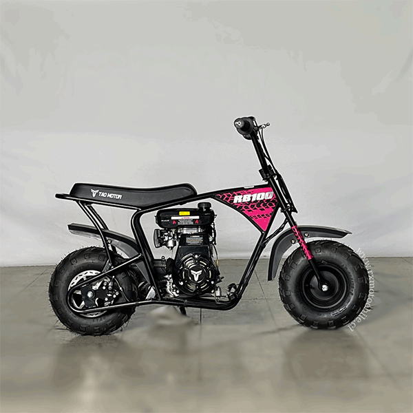 minibike-100-19
