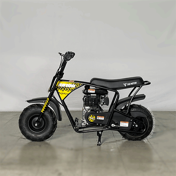minibike-100-6