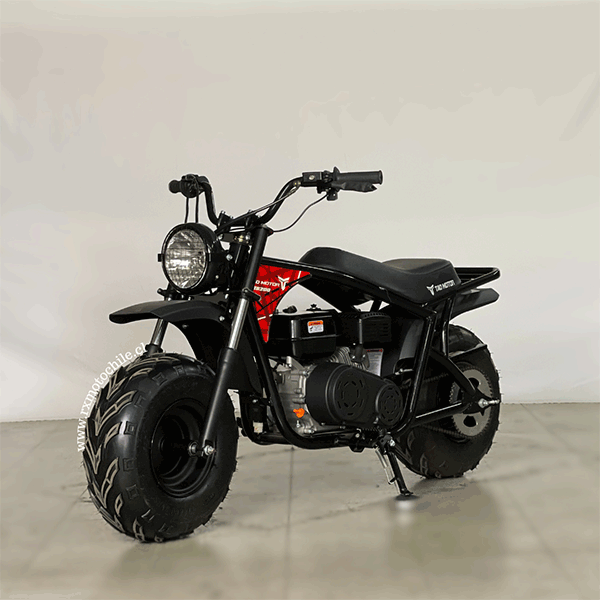 minibike-200-10