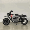 minibike-200-11 Motocicleta minibike rb200 Tao motor
