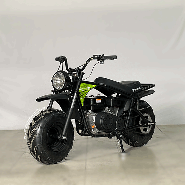 minibike-200-16