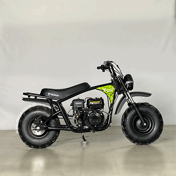 minibike-200-17