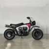 minibike-200-5 Motocicleta minibike rb200 Tao motor