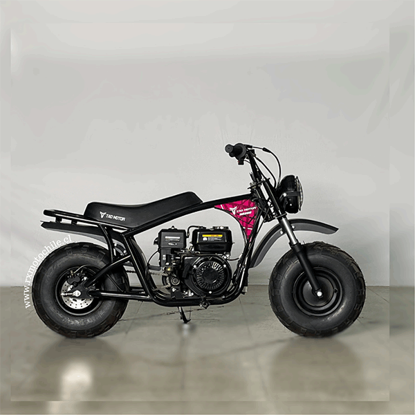 Motocicleta minibike rb200 Tao motor