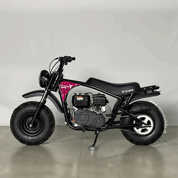 Motocicleta minibike rb200 Tao motor