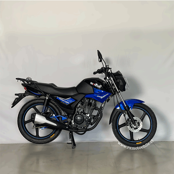 Motocicleta proton xy150-10f Shineray - Imagen 9