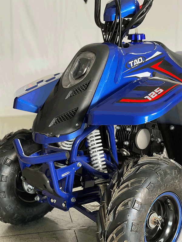 Raptor 110cc 1 1