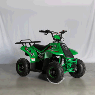 raptor 110cc tao moto con retroceso