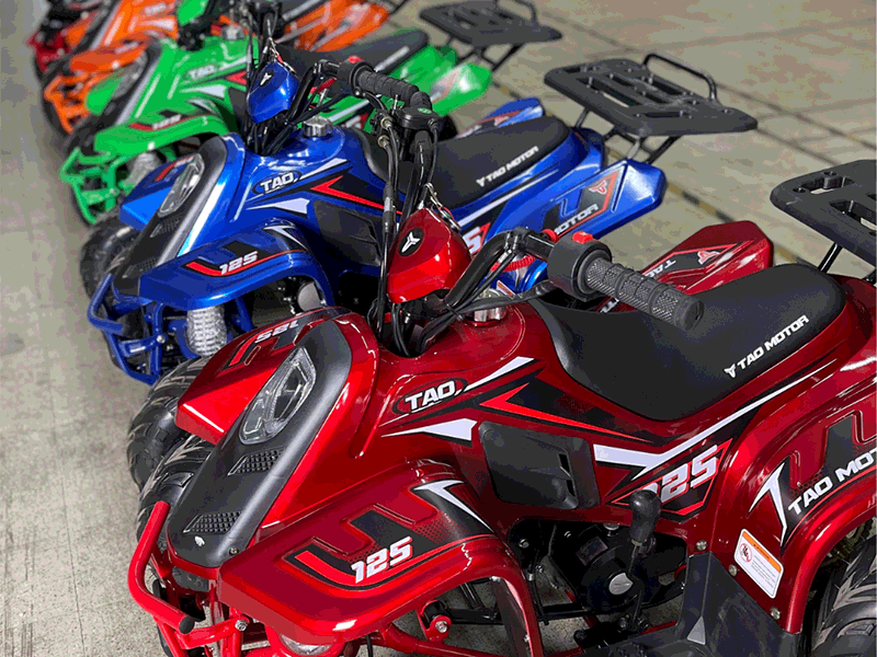 Cuatrimoto raptor boulder 110cc tao motor