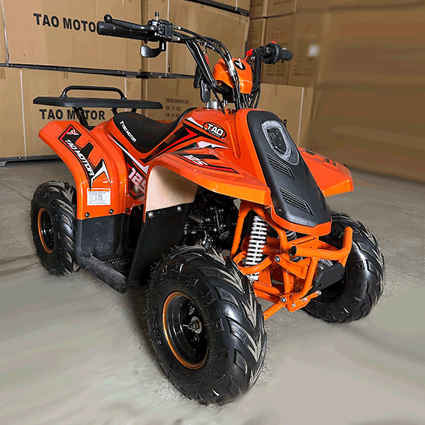 Raptor 125cc Tao Motor 1