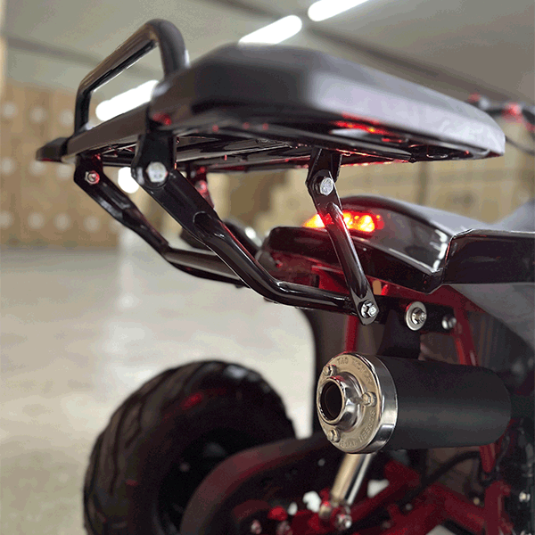 Raptor 125cc Tao Motor 7