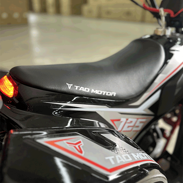 Raptor 125cc Tao Motor 8
