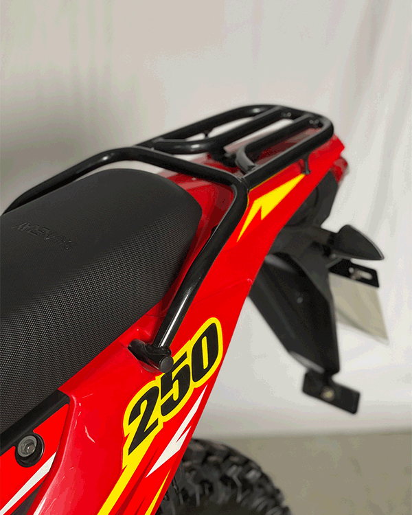 shineray-250-15