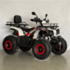 warrior-10 Cuatrimoto warrior 200cc (tao motor)
