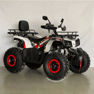 Cuatrimoto warrior 200cc (tao motor)