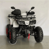 warrior-8 Cuatrimoto warrior 200cc (tao motor)