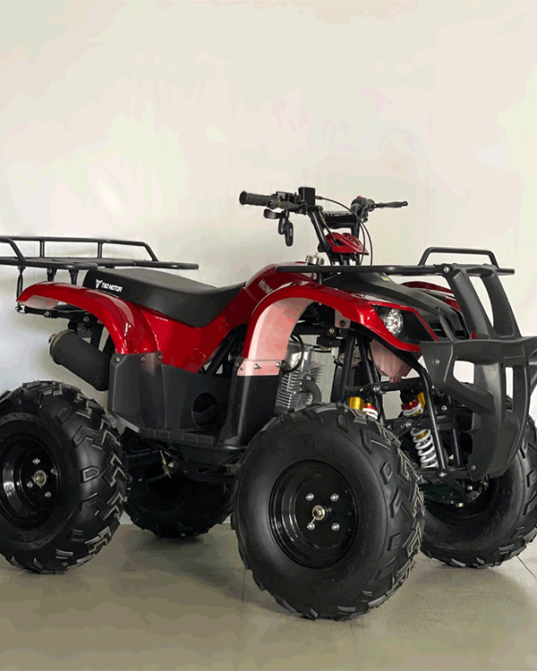 Cuatrimoto Hummer 250 Mecanica Tao Motor 10