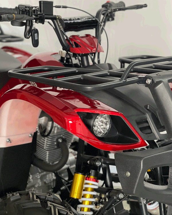 Cuatrimoto Hummer 250 Mecanica Tao Motor 11