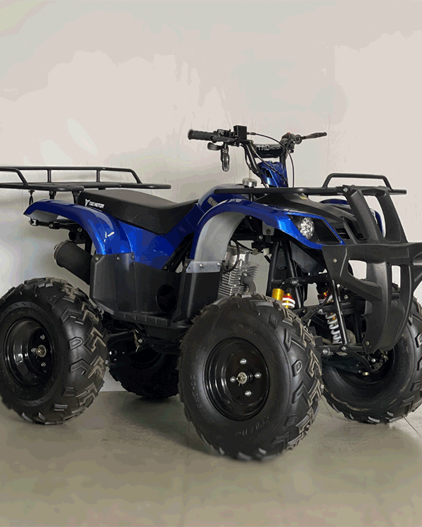 Cuatrimoto Hummer 250 Mecanica Tao Motor 12