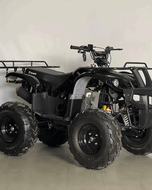 Cuatrimoto Hummer 250 Mecanica Tao Motor 13