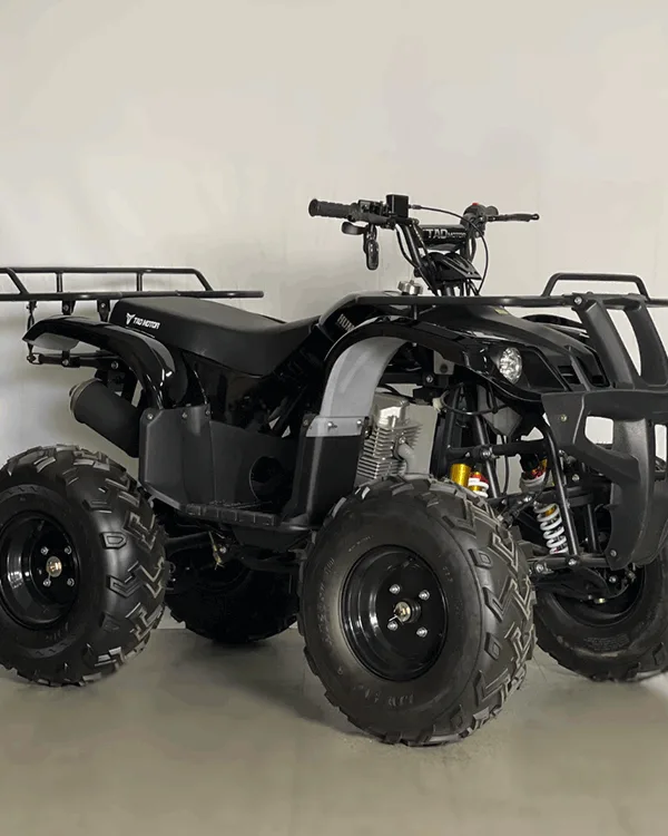 Cuatrimoto hummer 250cc mecanica (tao motor)