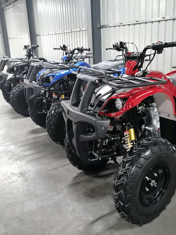 Cuatrimoto Hummer 250 Mecanica Tao Motor 18