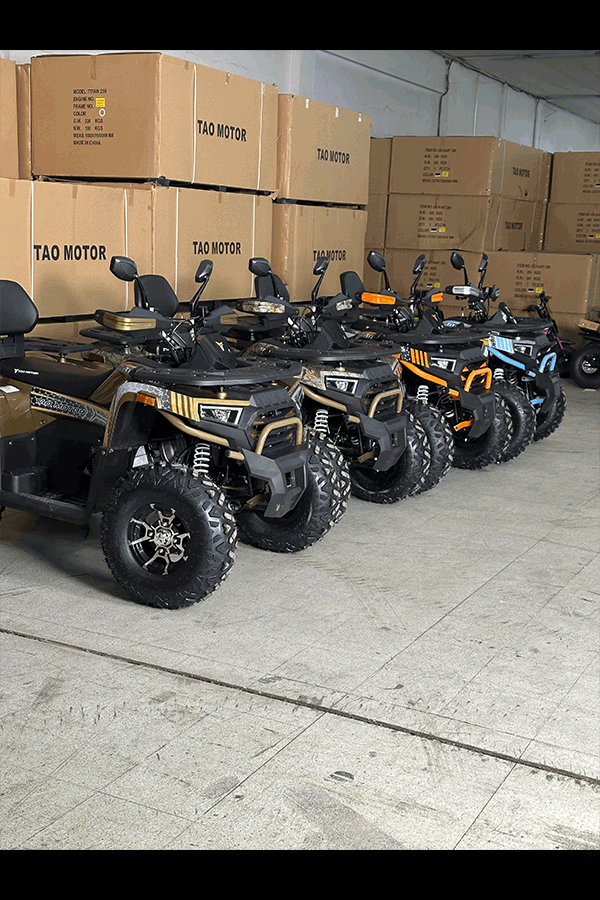 Cuatrimoto Titan 250cc Tao Motor 45
