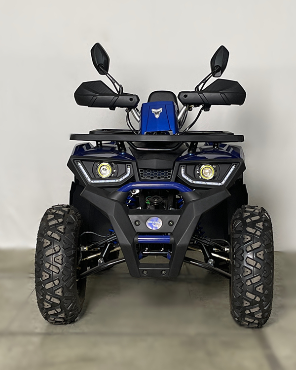 HUNTER 250CC TAO MOTOR