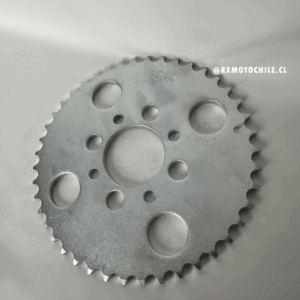 Catalina Trasera 428x43 (Sprocket)