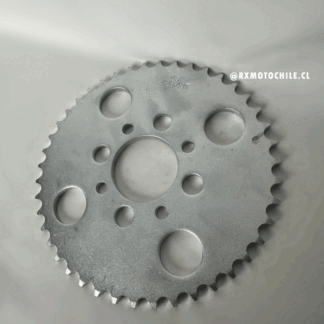 Catalina Trasera 428x43 (Sprocket)