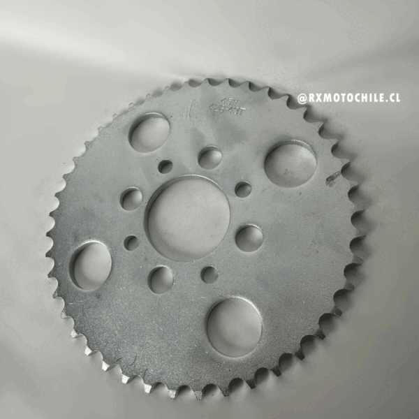 Catalina Trasera 428x43 (Sprocket)