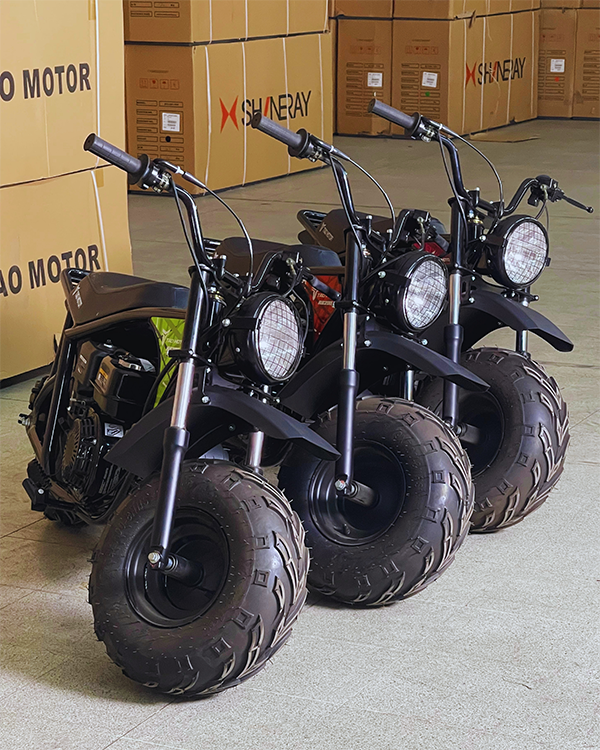 MOTOCICLETA MINIBIKE 200