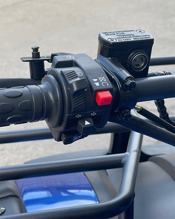 Cuatrimoto Bull 200cc (Tao motor)