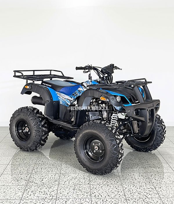 Cuatrimoto Moto Bull 200 | Tao Motor - Imagen 3