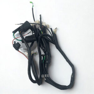 Ramal Eléctrico Tao Motor | Para Hunter o Shark 250cc