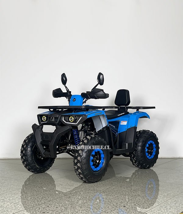 Cuatrimoto Braves Hunter 250 | Tao motor