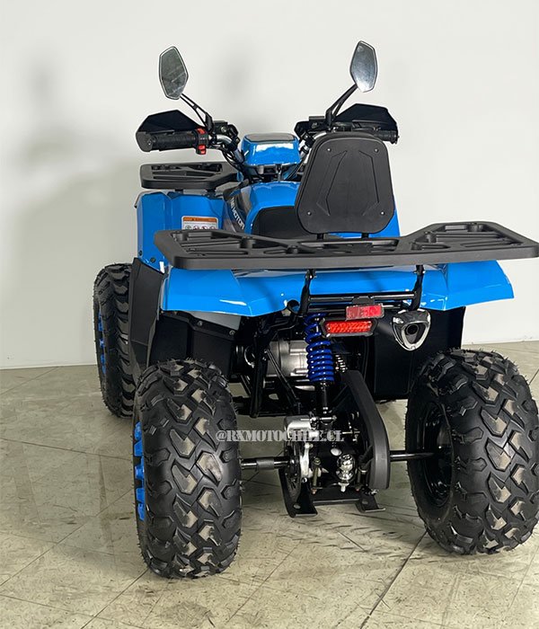 Cuatrimoto Braves Hunter 250 | Tao motor