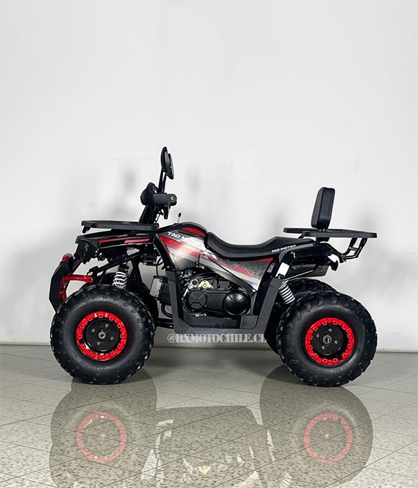 Cuatrimoto Braves Hunter 250 | Tao motor