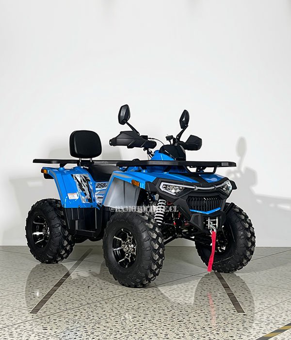 Cuatrimoto Shark 250 Pro | Tao motor