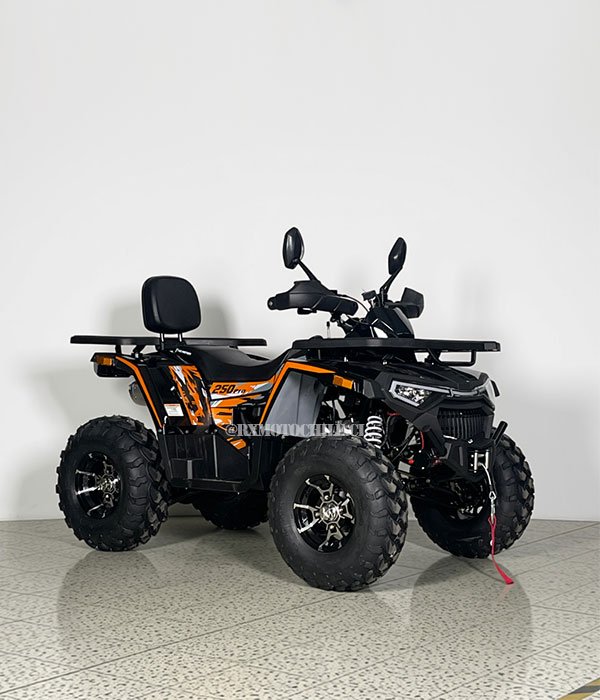Cuatrimoto Shark 250 Pro | Tao motor