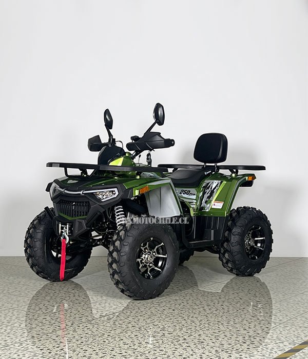 Cuatrimoto Shark 250 Pro | Tao motor