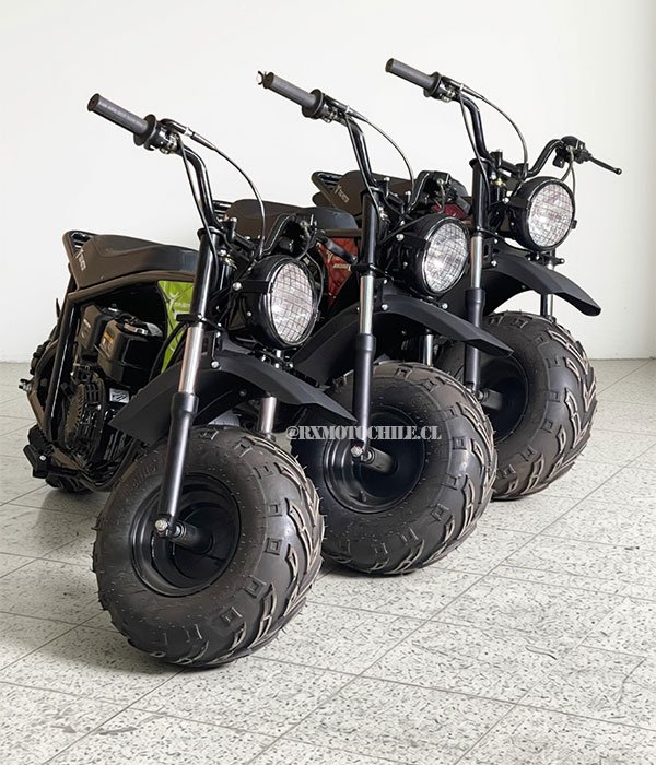 Minibike RB 200 | Tao motor - Imagen 2