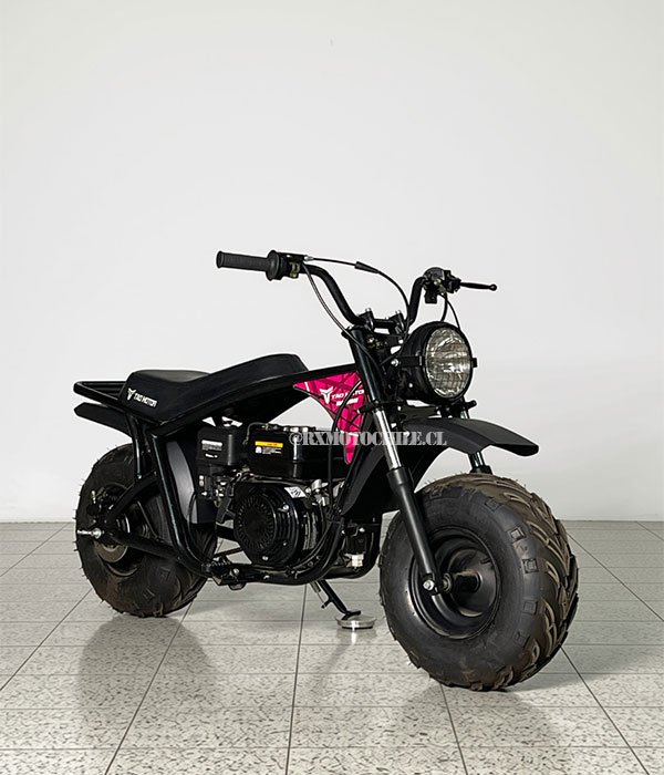 Minibike RB 200